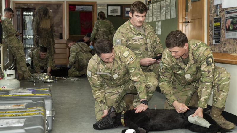 Medics simulating an emergency operation using an artificial canine mannequin. Photo: New Zealand Defence Force