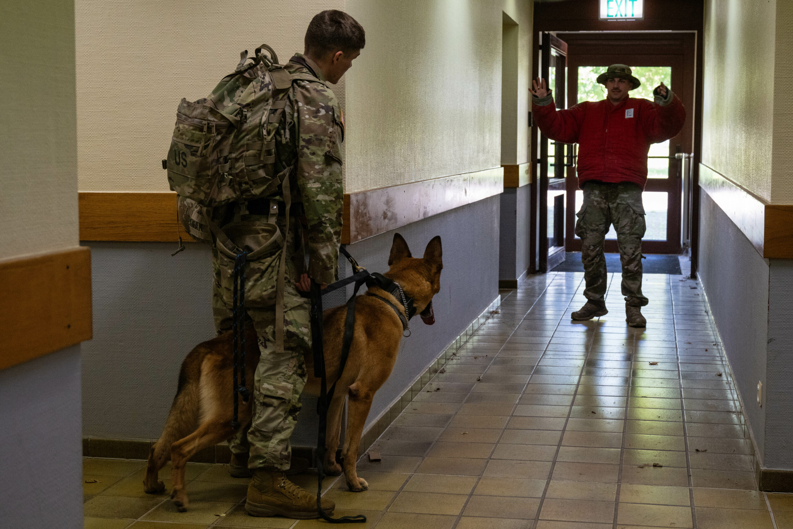 U.S. Army Pfc. Toby Wolin (left), a military working dog handler (MWD), and MWD Szike, both assigned to 100th Military Police (Military Working Dog) Detachment, 709th Battalion, 18th Military Police Brigade, prepare to apprehend Senior Airman Brandon Duncan, a MWD handler assigned to the 86th Security Forces Squadron simulating a suspect, during a suspect apprehension scenario as part of a working dog training seminar at Spangdahlem Air Base, Germany, June 26, 2024. In the scenario, teams were evaluated by MWD trainers on their ability to find a simulated suspect and exercise proper rules of engagement to apprehend them. (U.S. Air Force photo by Staff Sgt. Max J. Daigle)