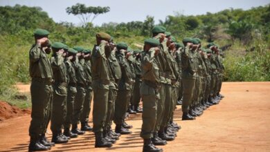 Democratic Republic of Congo soldiers stand in formation