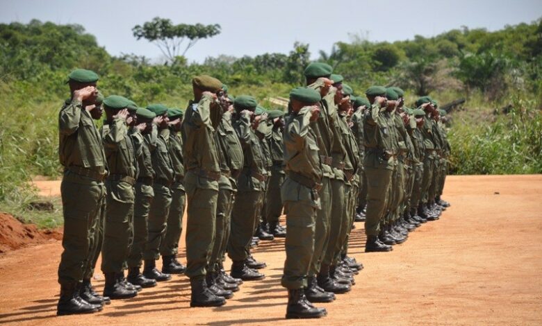 Democratic Republic of Congo soldiers stand in formation