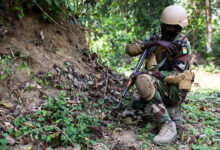 A Nigerien Special Forces Soldier communicates on a radio while conducting a raid during Flintlock 2022, in Côte d'Ivoire, Feb. 26, 2022. Flintlock is a multi-national exercise consisting of 11 nations training in Côte d'Ivoire. Flintlock helps strengthen the ability of allies and partners to counter violent extremism and provide security for their people. (U.S. Army photo by Sgt. Kacie Benak)