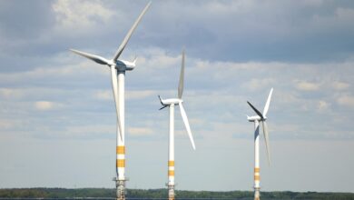 Wind turbines on the Baltic Sea in an offshore wind farm in Sweden, 10 June 2015. Photo: BRITTA PEDERSEN/dpa - NO WIRE SERVICE - (Photo by BRITTA PEDERSEN / ZB / dpa Picture-Alliance via AFP)