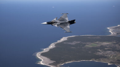 Gripen fighter jet