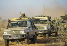 Malian army