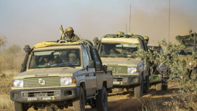 Malian army