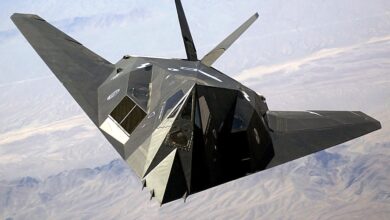 Lockheed F-117