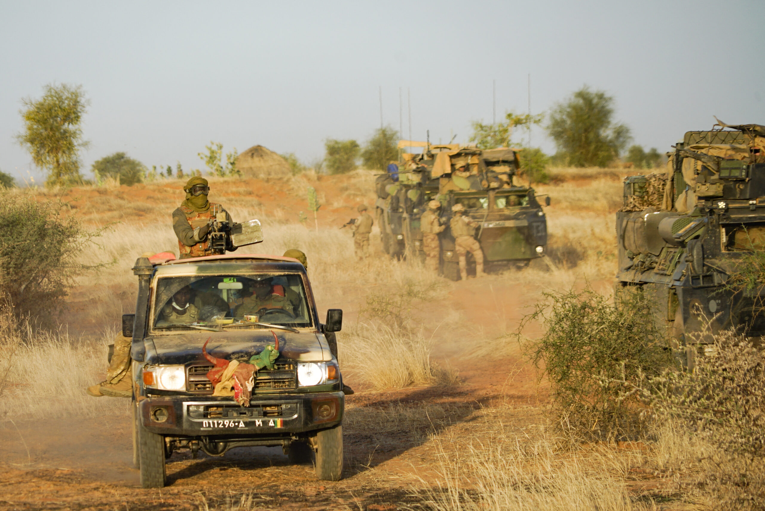 Malian Armed Forces