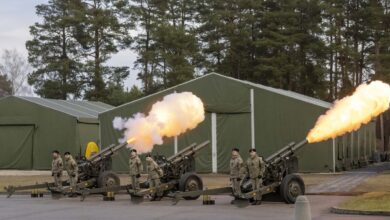 Lithuania's 1st Mechanized Division