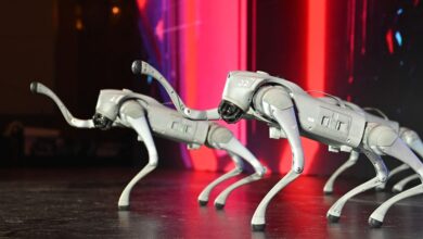 Chinese robot dogs