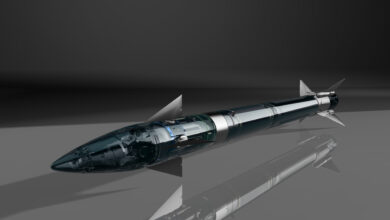 Lightweight Multirole Missile (LMM)