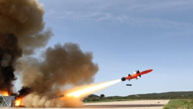 TESEO MK2/E anti-ship missile