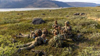 Infantry soldiers are particularly exposed when moving through open terrain, so they must learn how to conceal themselves from the enemy.