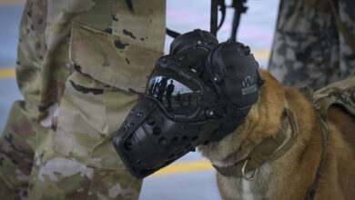 A Japan Air Self-Defense Force Military Working Dog wears protective headgear at the Combat Arms Training and Maintenance range on Andersen Air Force Base, Guam, May 21, 2026. MWD teams from across PACAF and allied partner nations came together for the 2026 Advanced Combat Skills Assessment to compete in a series of individual events to be assessed in the areas of combat, fitness, patrol, detection, and obedience. (U.S. Air Force photo by Airman 1st Class Kevin McCormick Jr)